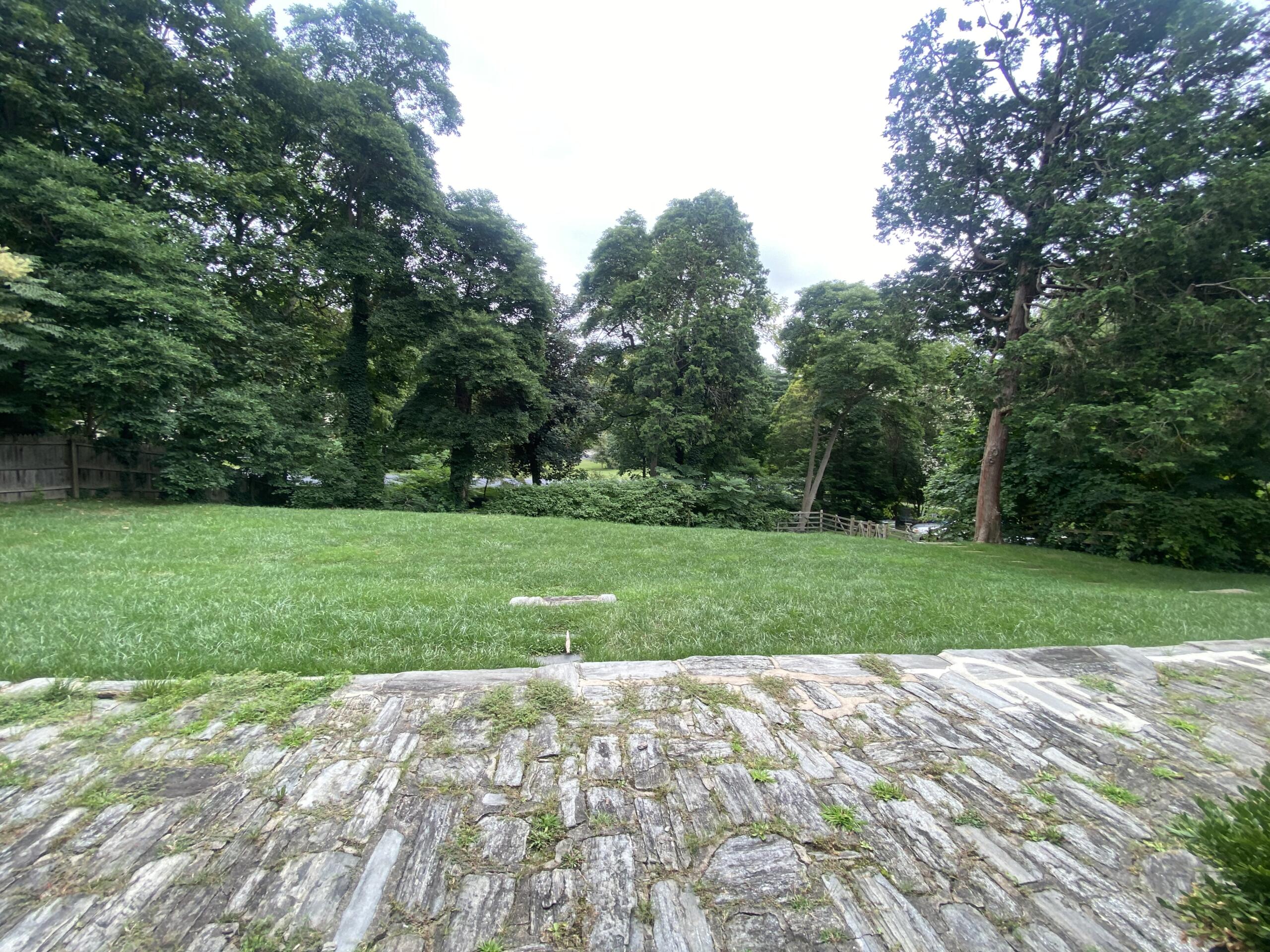 Front Yard
